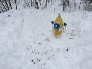 Fire Hydrant Accessible in Snow